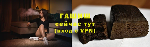 гашик Краснослободск