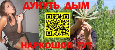 гидра Заводоуковск
