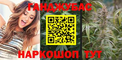 гидра Заводоуковск
