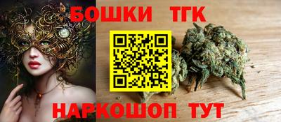 гидра Заводоуковск