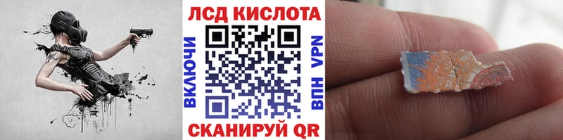 где купить наркотик  Сокол  блэк спрут вход  Наркотические марки 1500мкг 