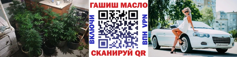 ТГК THC oil  Сокол 