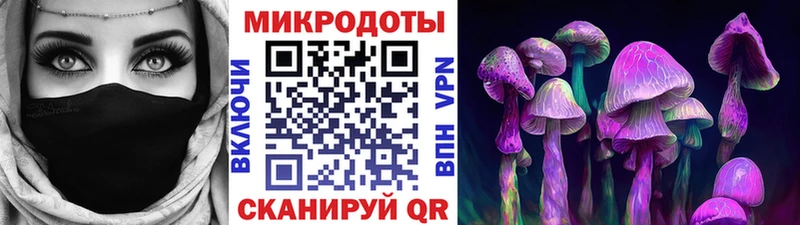 Псилоцибиновые грибы Cubensis  Сокол 