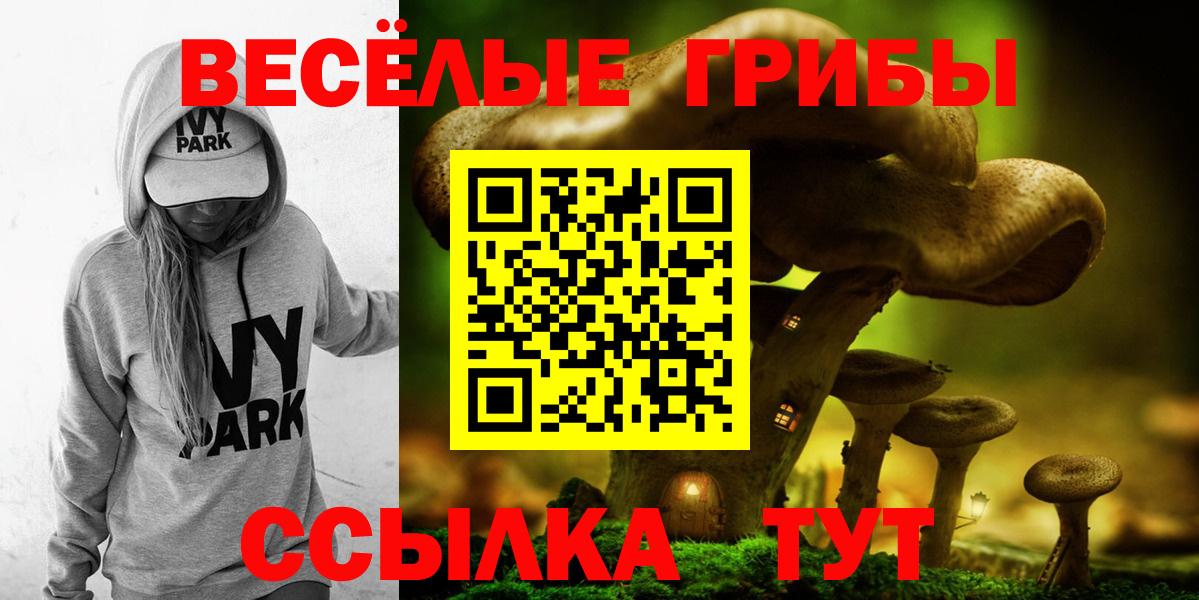 Галлюциногенные грибы GOLDEN TEACHER Сокол
