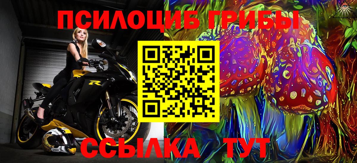 Галлюциногенные грибы GOLDEN TEACHER  где можно купить наркотик  Сокол  Вход с VPN 