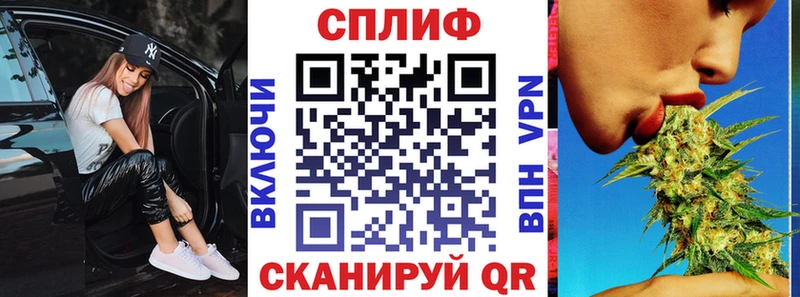 Бошки Шишки план Сокол